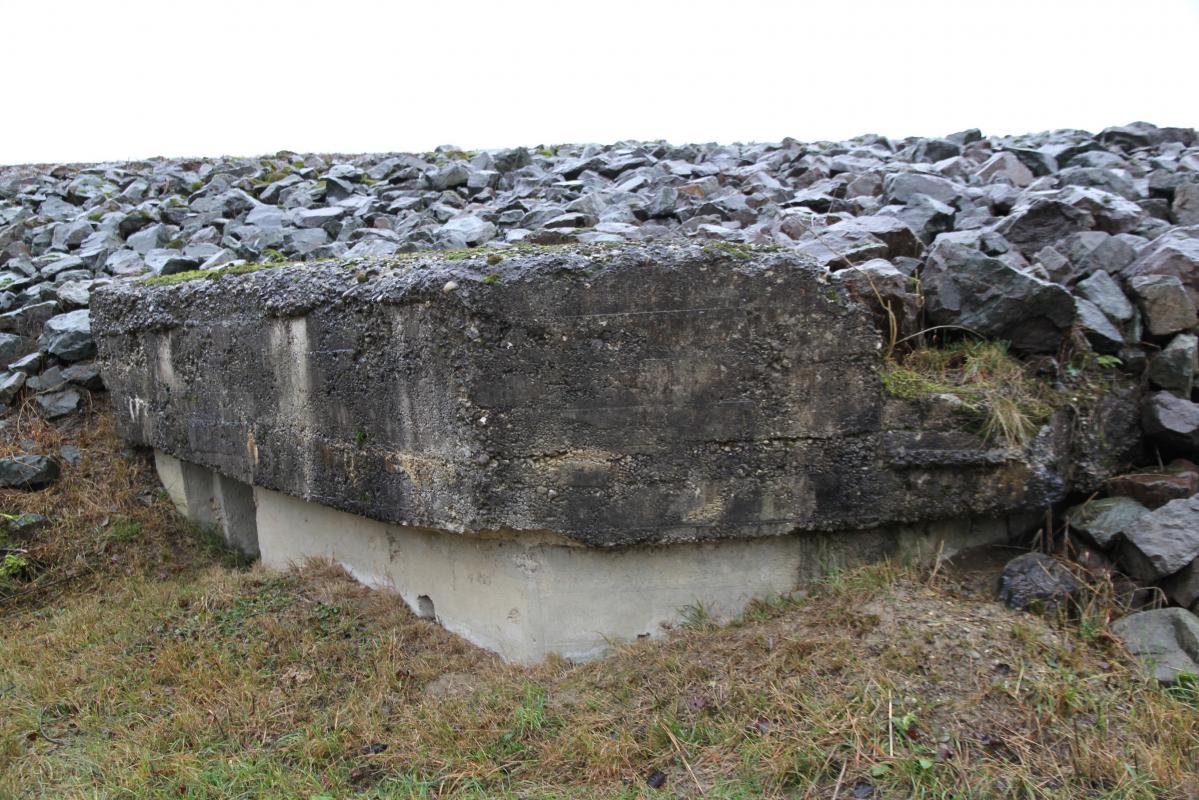 Ligne Maginot - DIGUE DE FRIESENHEIM 3 - Le bloc a été intégré dans la digue du Rhin canalisé. De peu... - Alain Perouffe