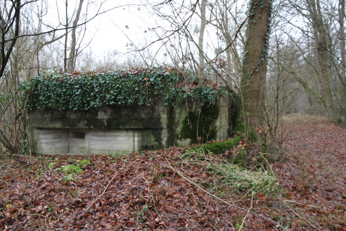 Ligne Maginot - AUKOPF NORD - (Blockhaus pour arme infanterie) -  - Alain Perouffe