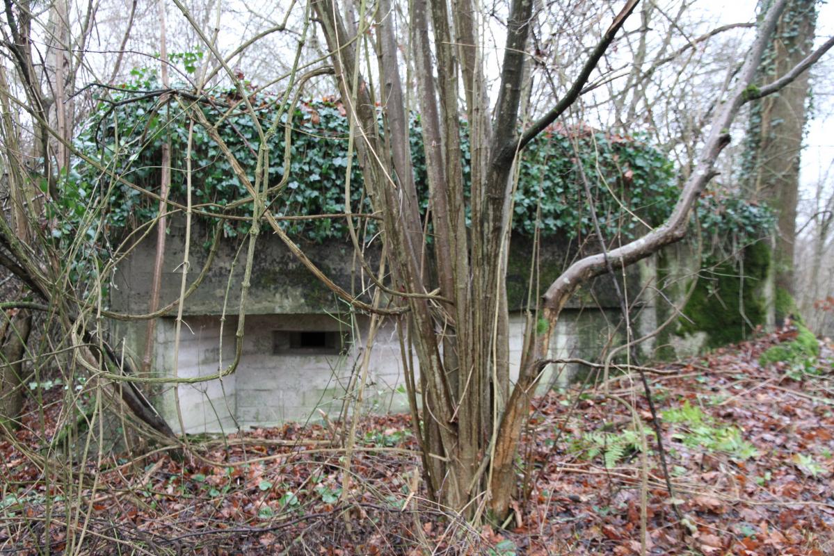 Ligne Maginot - AUKOPF NORD - (Blockhaus pour arme infanterie) -  - Alain Perouffe