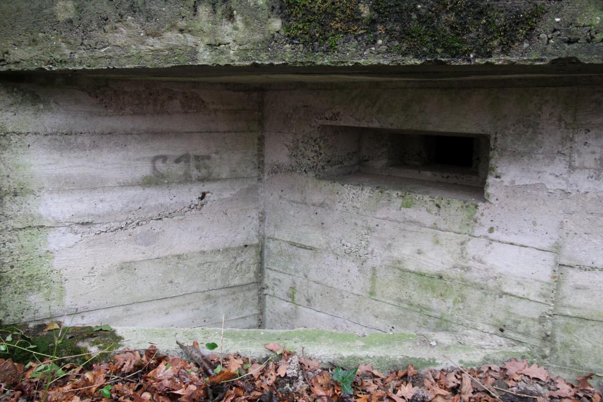 Ligne Maginot - AUKOPF NORD - (Blockhaus pour arme infanterie) -  - Alain Perouffe