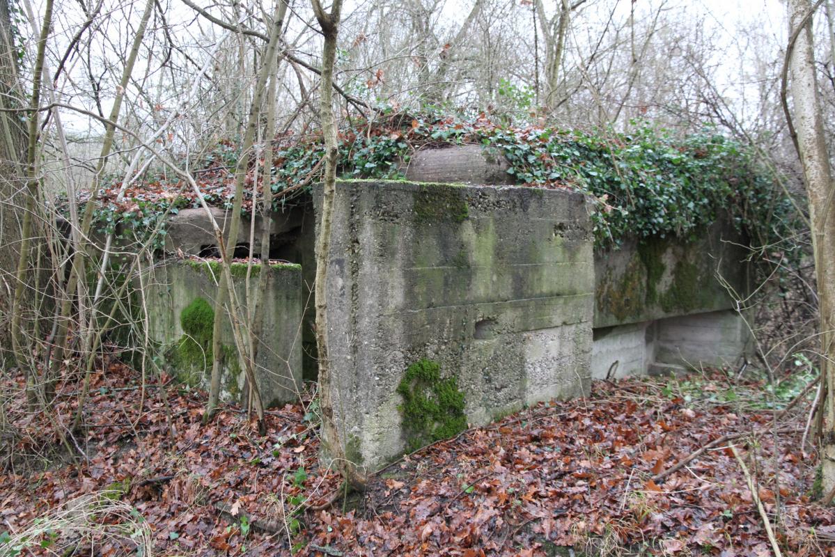 Ligne Maginot - AUKOPF NORD - (Blockhaus pour arme infanterie) -  - Alain Perouffe