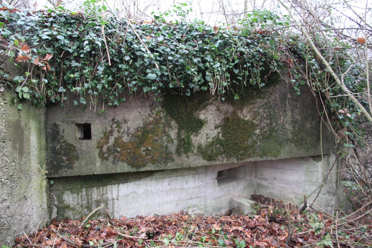 Ligne Maginot - AUKOPF NORD - (Blockhaus pour arme infanterie) -  - Alain Perouffe