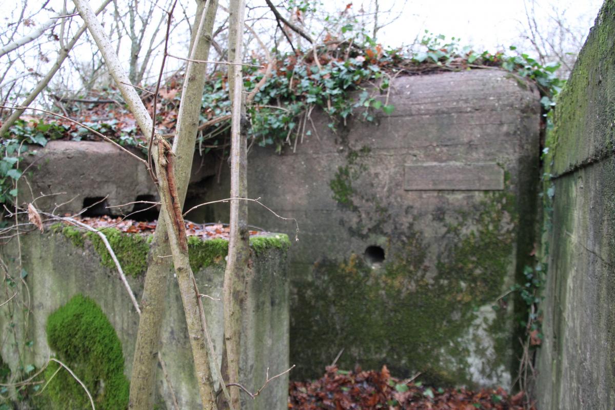 Ligne Maginot - AUKOPF NORD - (Blockhaus pour arme infanterie) -  - Alain Perouffe