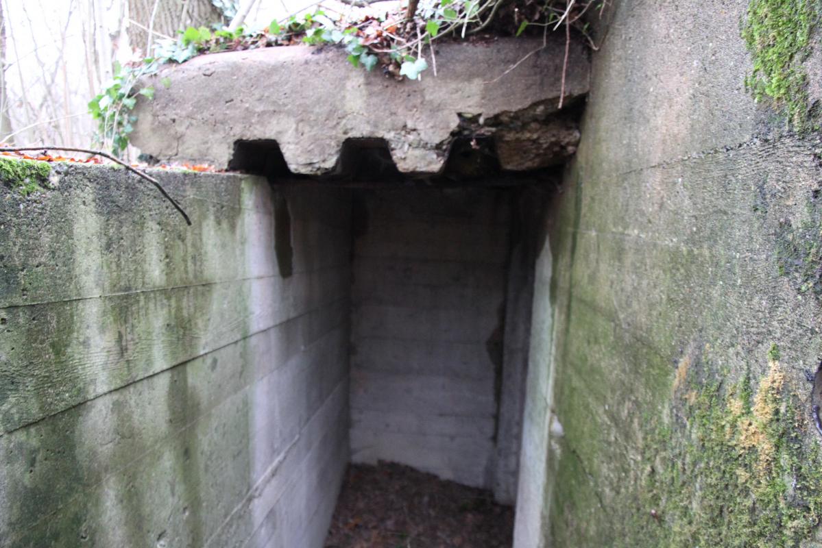 Ligne Maginot - AUKOPF NORD - (Blockhaus pour arme infanterie) -  - Alain Perouffe