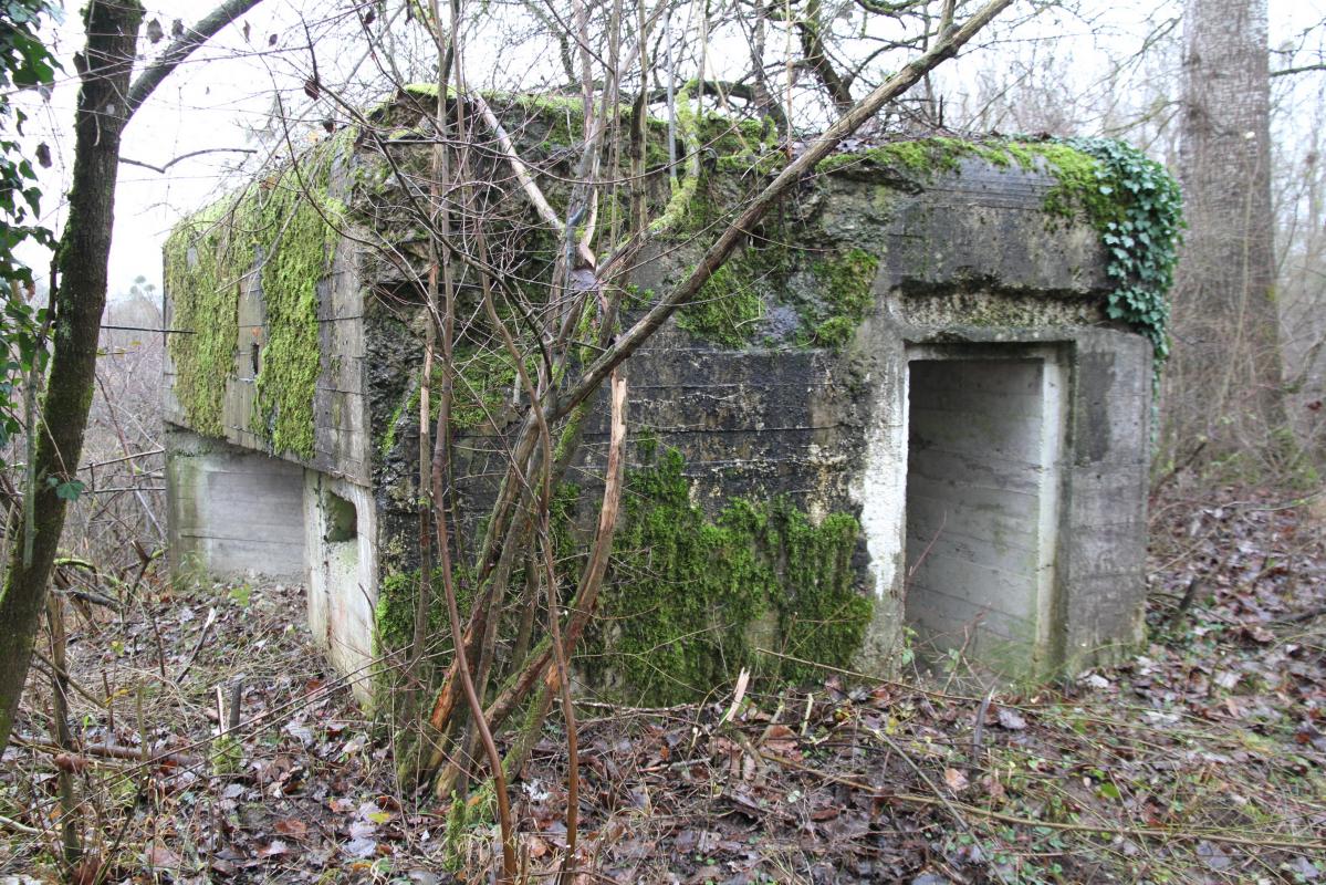 Ligne Maginot - DIGUE DE FRIESENHEIM 4 - (Blockhaus pour arme infanterie) -  - Alain Perouffe