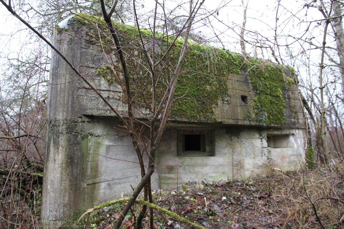 Ligne Maginot - DIGUE DE FRIESENHEIM 4 - (Blockhaus pour arme infanterie) -  - Alain Perouffe
