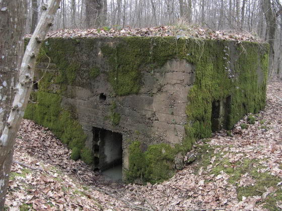 Ligne Maginot - Blcokhaus Cb443 - Entrée et créneau FM - AALMA - lignemaginot.com