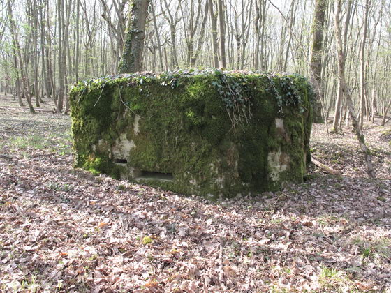 Ligne Maginot - Cb434-B - ROCKSWINGERT Est 2 (Observatoire d'infanterie) -  - AALMA - lignemaginot.com