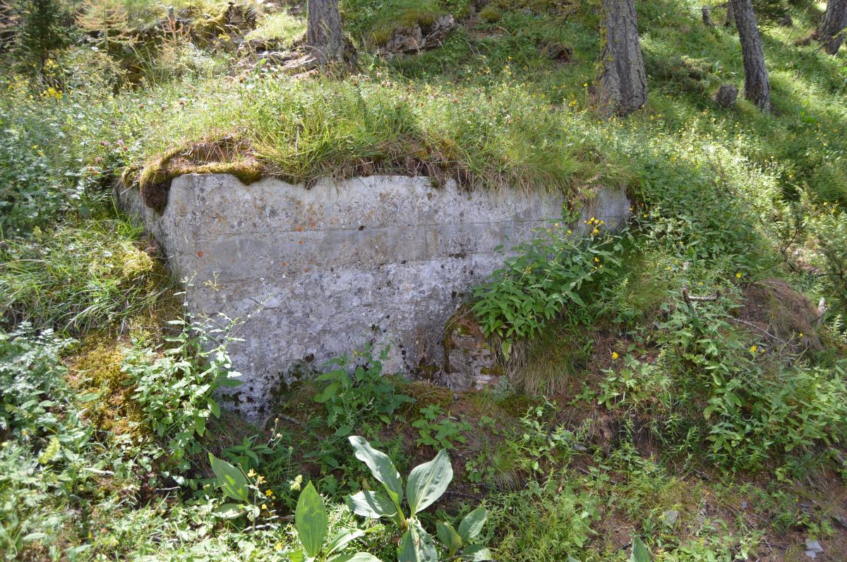 Ligne Maginot - ANCIEN CAMP - (Abri) - Cheminée nord - Michal Prasil