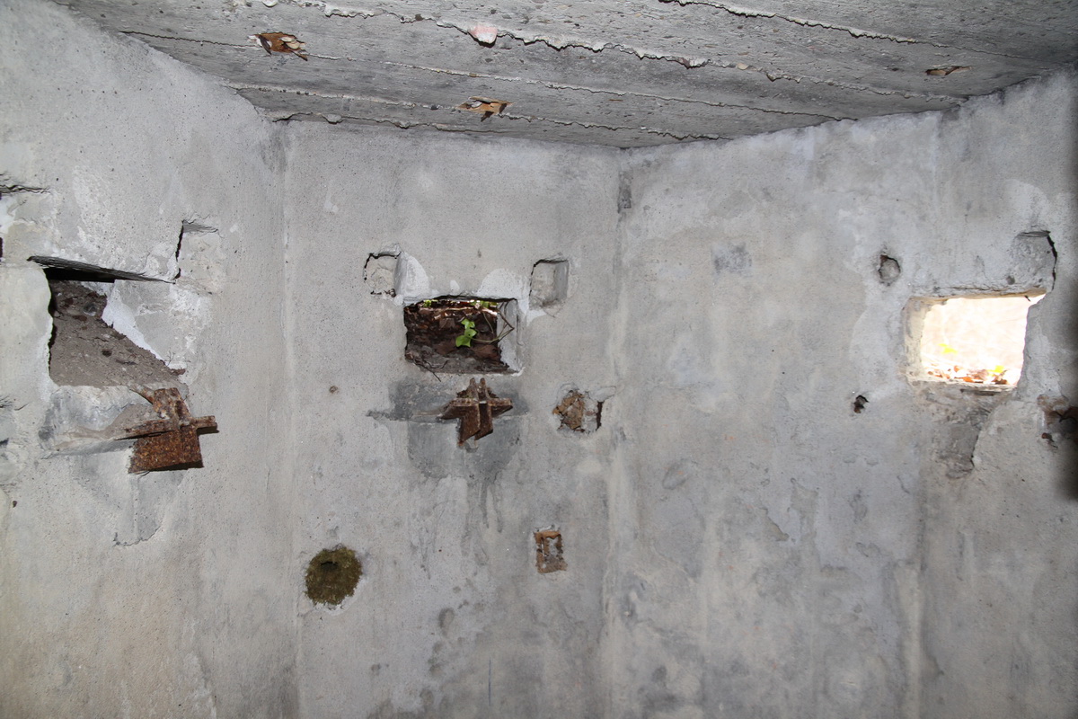 Ligne Maginot - LEUTESHEIM 1 - (Blockhaus pour arme infanterie) -  - Alain Perouffe