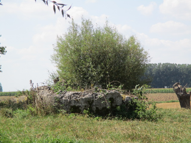 Ligne Maginot - T8 - CALLEBECK (Cuve pour arme d'infanterie) -  - Smardz Félix