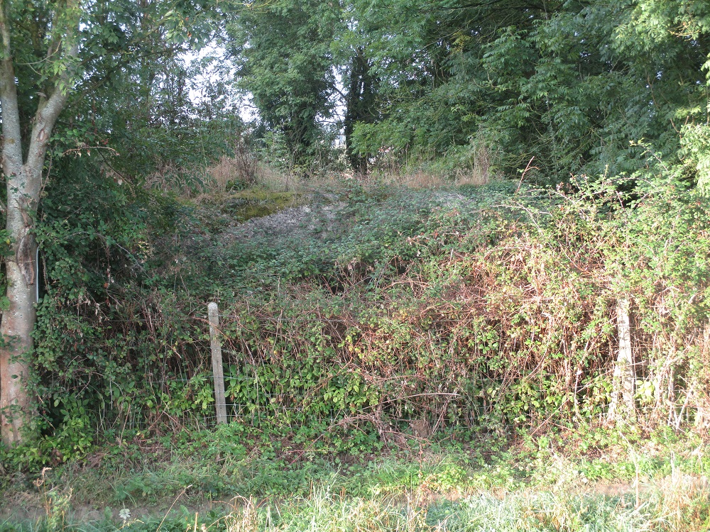 Ligne Maginot - B262 - FERME du FORET (Blockhaus pour canon) - Blockhaus encerclé de broussailles et d'arbustes - Vu de la D191 Boulevard Eurométropole. - Smardz Félix