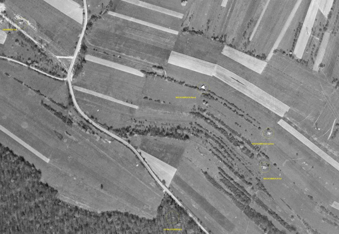 Ligne Maginot - Blockhaus de WELSCHBRUCH -  - IGN - Géoportail 1955