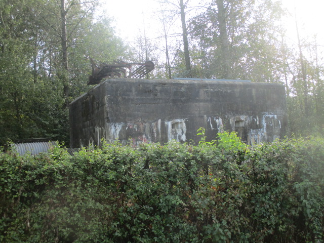 Ligne Maginot - BEF 384 - BOIS de VARLET (Abri) - Vu de la rue du Bois Bercu. - Smardz Félix