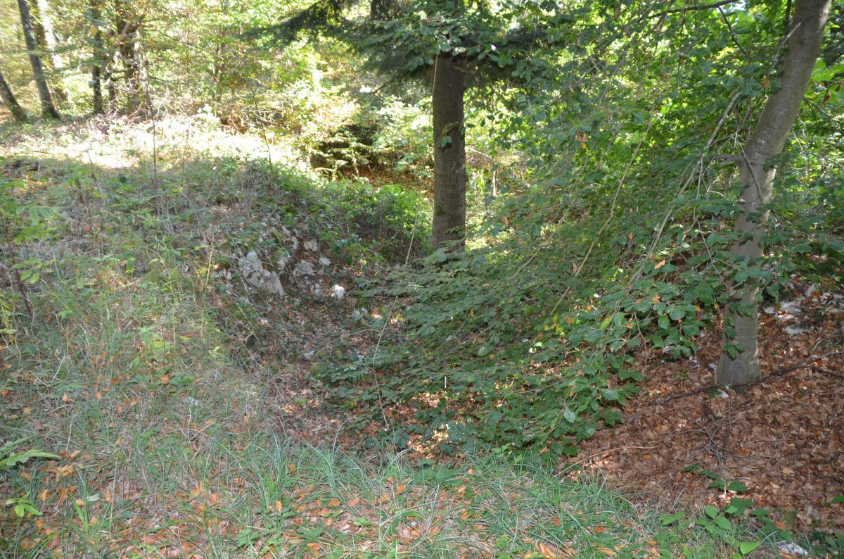 Ligne Maginot - OLTINGUE HAUT 2 - (Blockhaus pour arme infanterie) - La tranchée - D Froehly