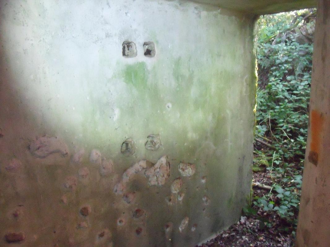 Ligne Maginot - WASENBERG 4 (Blockhaus pour arme infanterie) -  - kalpi