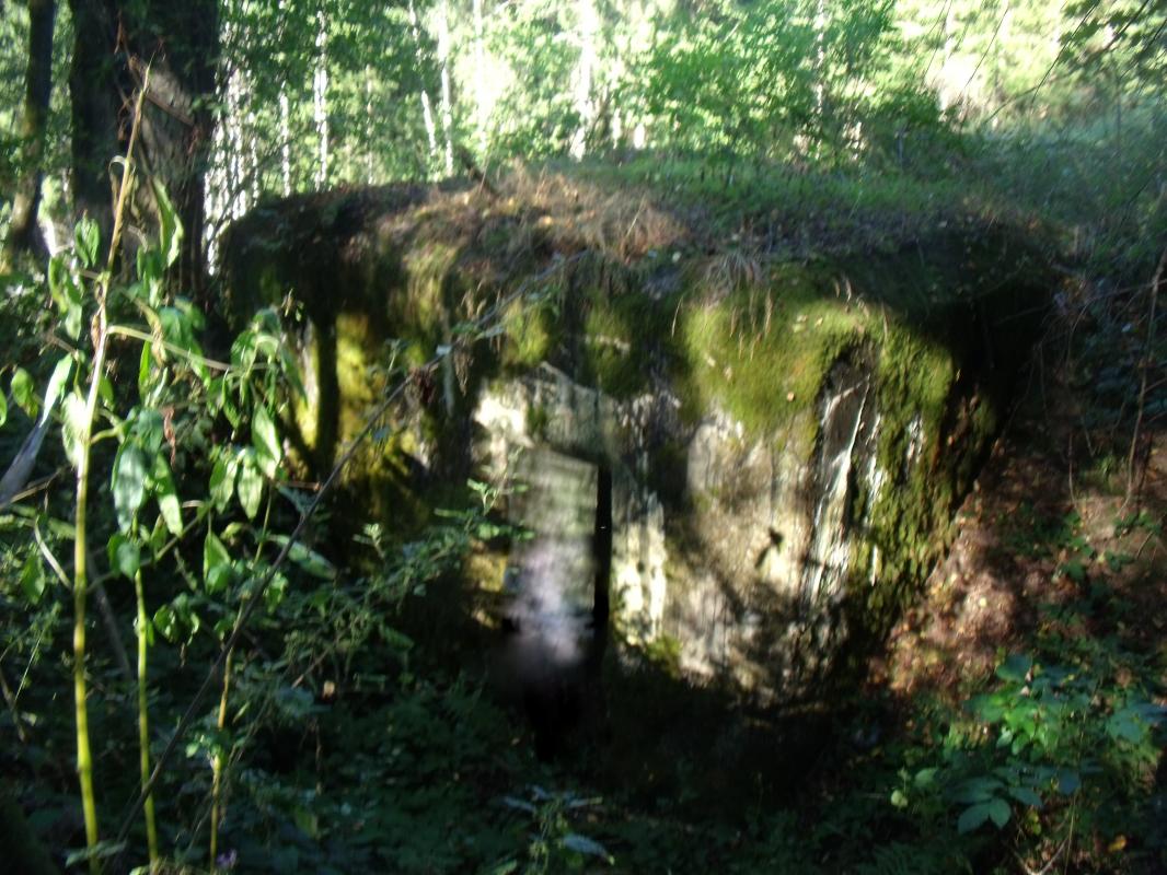 Ligne Maginot - WASENBERG 4 (Blockhaus pour arme infanterie) -  - kalpi