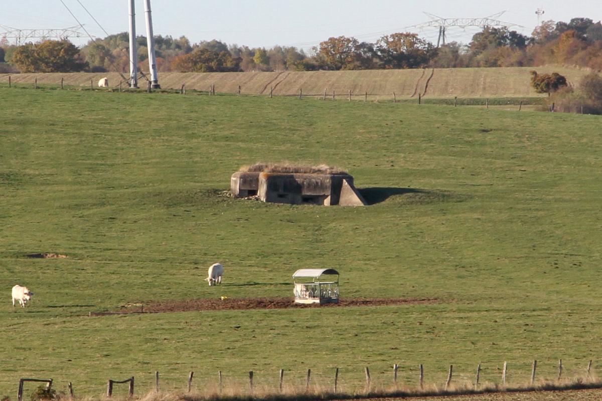 Ligne Maginot - AB22 - (Blockhaus pour canon) - Vu d'Ab18. Noter à la limite droite la trace d'At2. - JOLAS, Jean-Michel