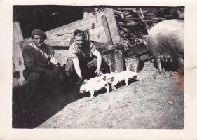 Ligne Maginot - LANGHEP SUD - C64 - (Casemate d'infanterie - Simple) - C'est par déduction , mais avec toutes réserves que je vous propose plusieurs photos de ce qui devait être l’équipage du Langhep sud. La ' cabane'