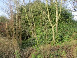 Ligne Maginot - CORON ROUGETTE - (Blockhaus pour canon) - Visible de la rue  Jules Beaulieux.