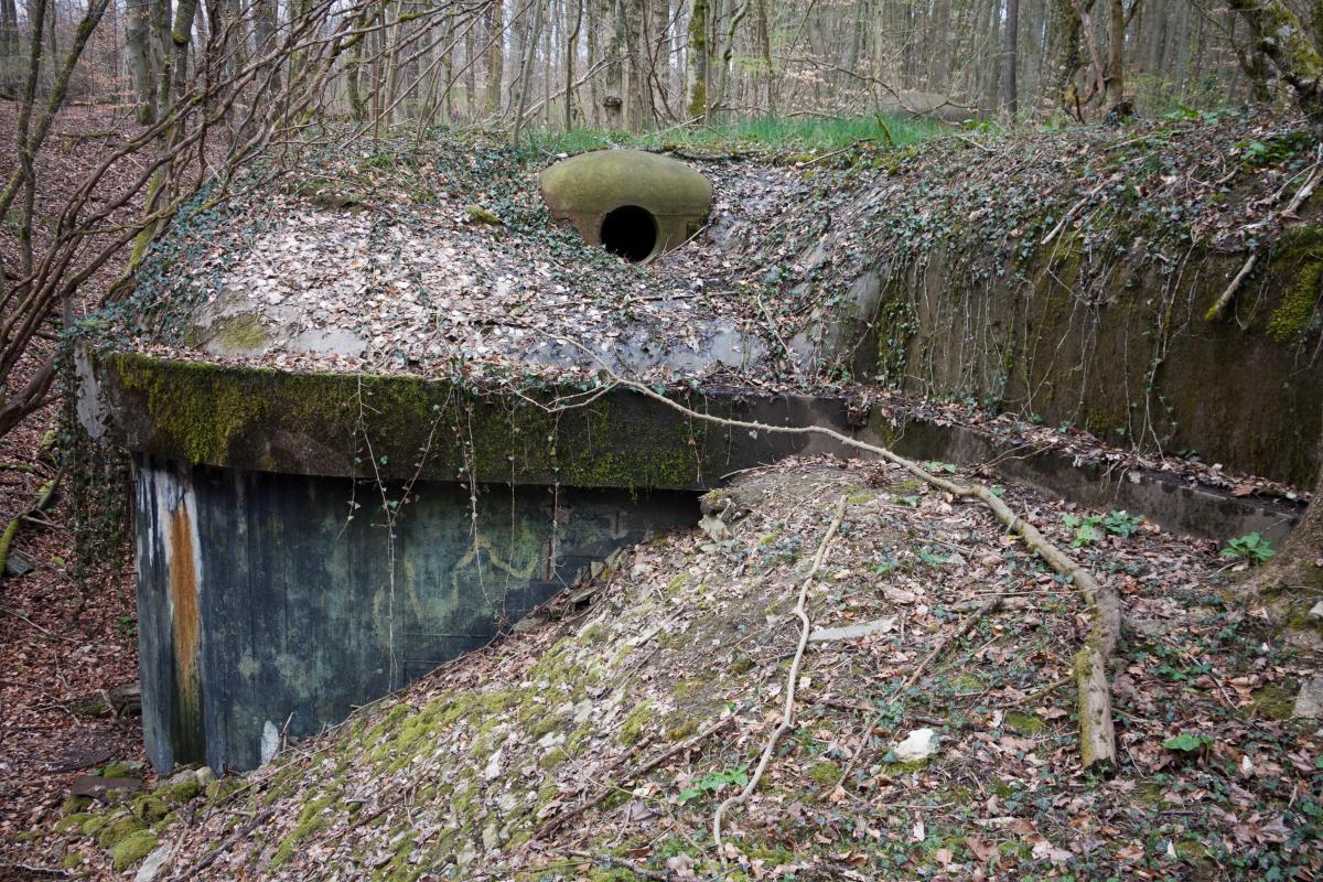 Ligne Maginot - BOIS DE LAUDREFANG SUD - C77 - (Casemate d'infanterie - Simple) - Cloche de mitrailleuses, transformée en cloche pour arme-mixte - Fré Do
