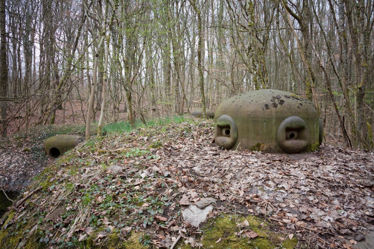 Ligne Maginot - BOIS DE LAUDREFANG SUD - C77 - (Casemate d'infanterie - Simple) - Cloche GFM type A modifiée en type B au premier plan, cloche  pour jumelage de mitrailleuses Reibel MAC 31 modifiée pour arme-mixte et, à l'arrière plan, une cloche GFM type A non modifiée  - Fré Do