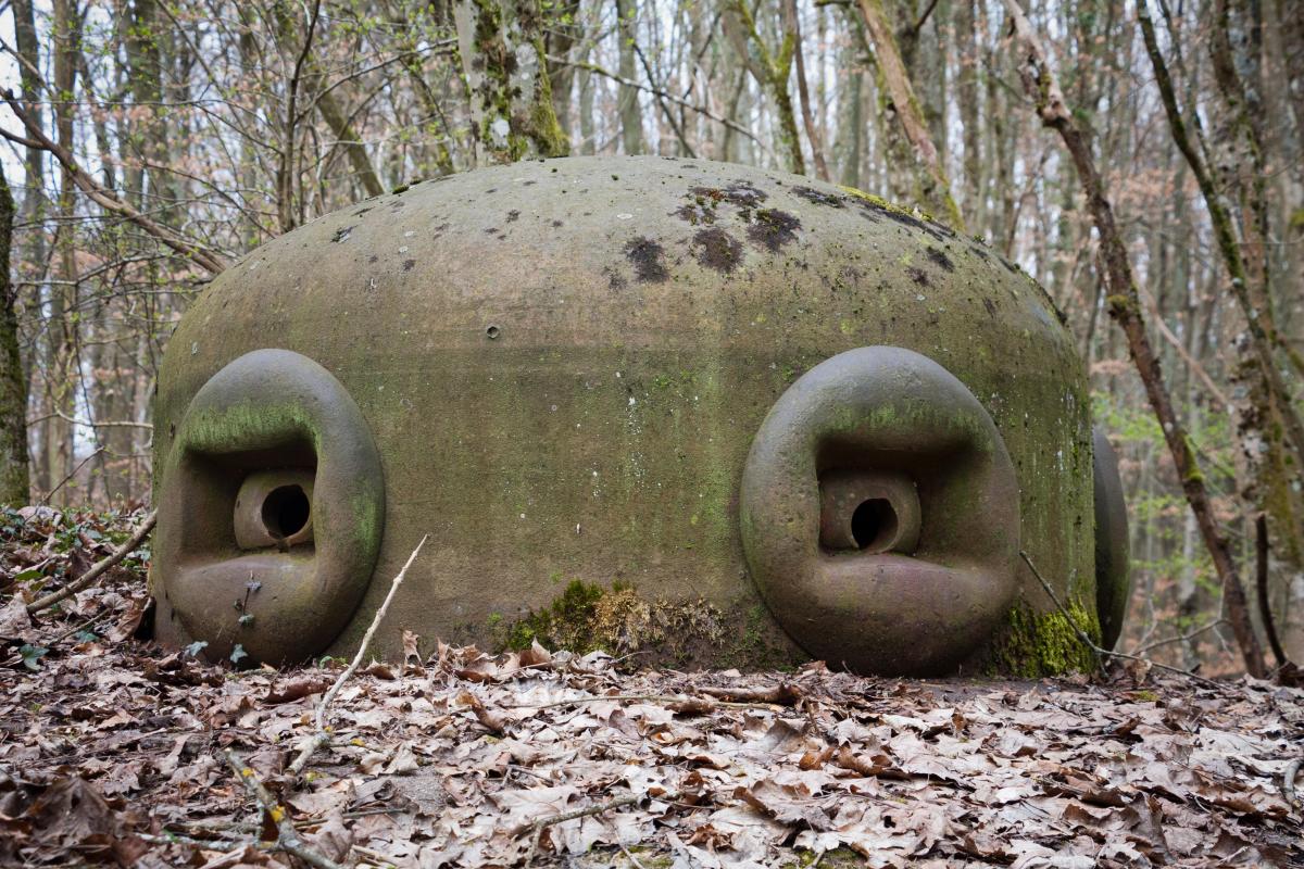 Ligne Maginot - BOIS DE LAUDREFANG SUD - C77 - (Casemate d'infanterie - Simple) - cloche GFM type A modifiée type B - Fré Do