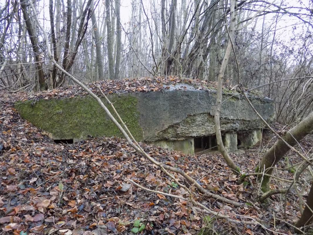 Ligne Maginot - 8BIS - LES LONGS BOYAUX EST - (Blockhaus pour canon) - Faces droite (créneau FM) et frontale - R Tucker