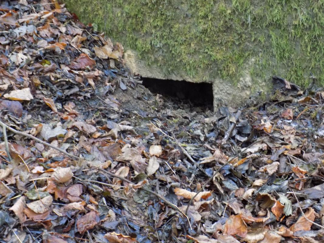 Ligne Maginot - 8BIS - LES LONGS BOYAUX EST - (Blockhaus pour canon) - Faces droite, créneau FM - R Tucker