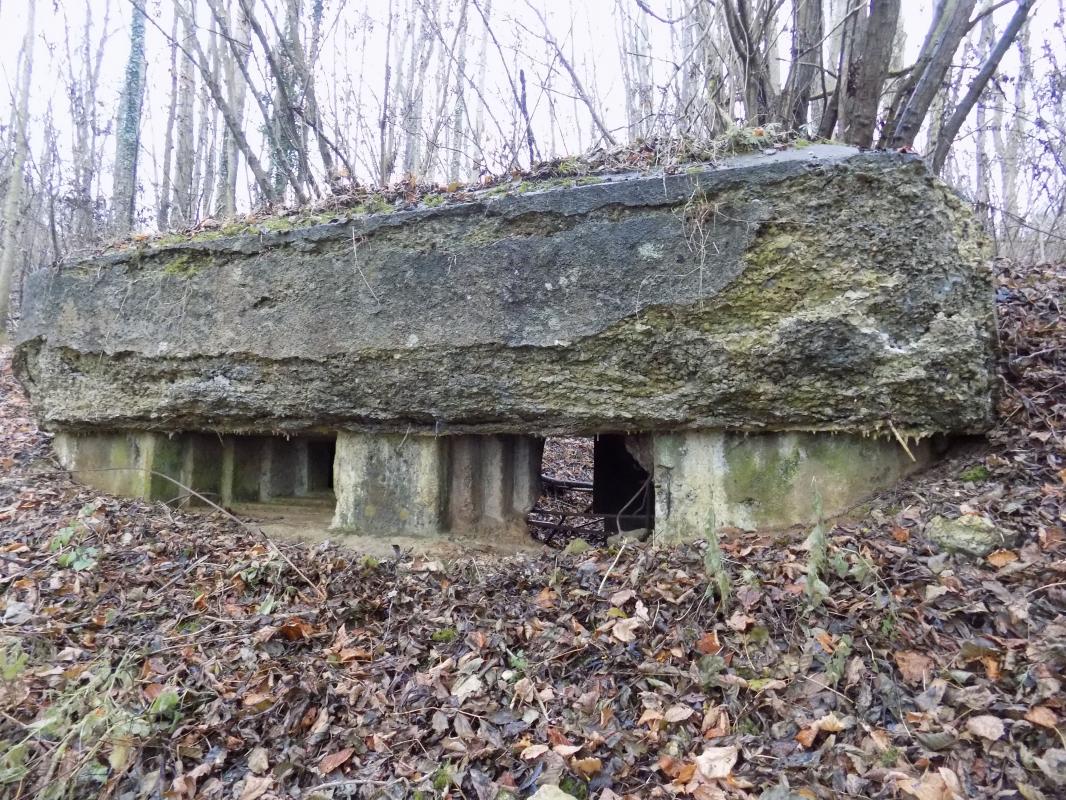 Ligne Maginot - 8BIS - LES LONGS BOYAUX EST - (Blockhaus pour canon) - Face frontale - R Tucker