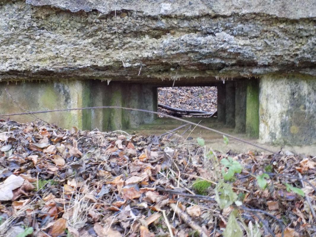 Ligne Maginot - 8BIS - LES LONGS BOYAUX EST - (Blockhaus pour canon) - Face frontale, créneau AC - R Tucker