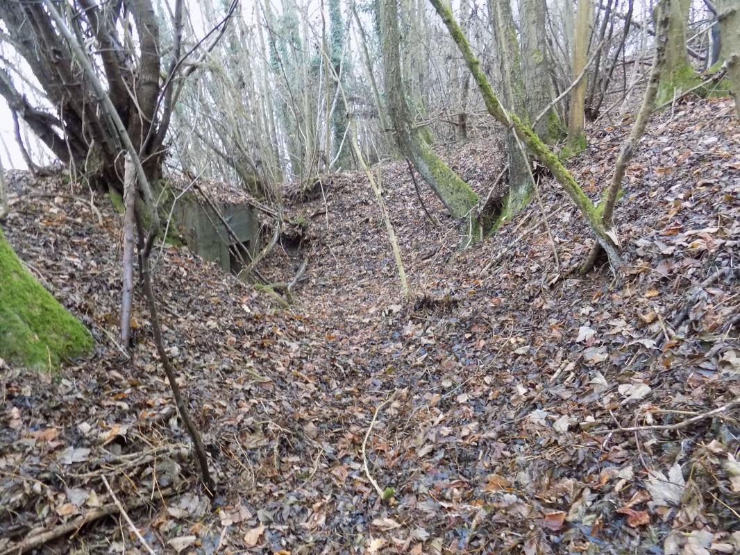 Ligne Maginot - 8BIS - LES LONGS BOYAUX EST - (Blockhaus pour canon) - Tranchée vers l'entrée - R Tucker