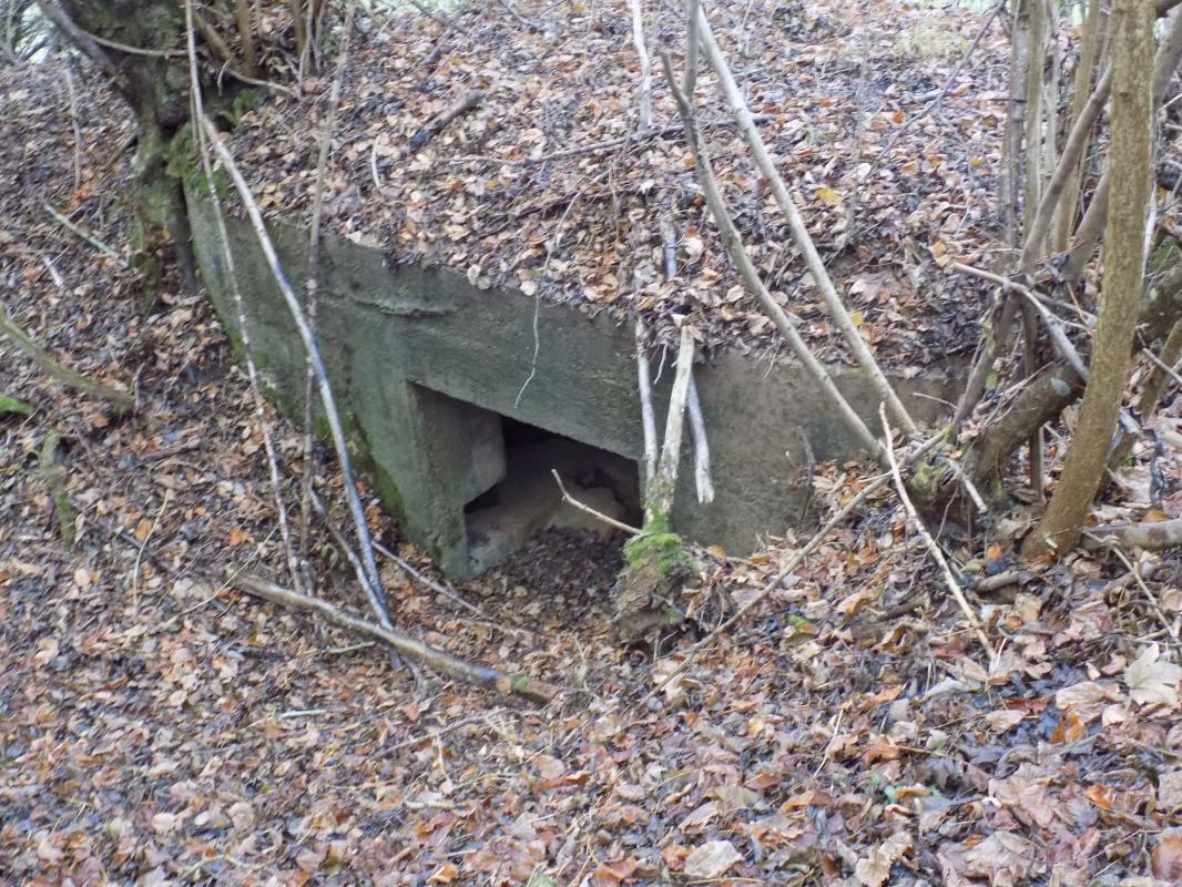 Ligne Maginot - 8BIS - LES LONGS BOYAUX EST - (Blockhaus pour canon) - L'entrée AC - R Tucker