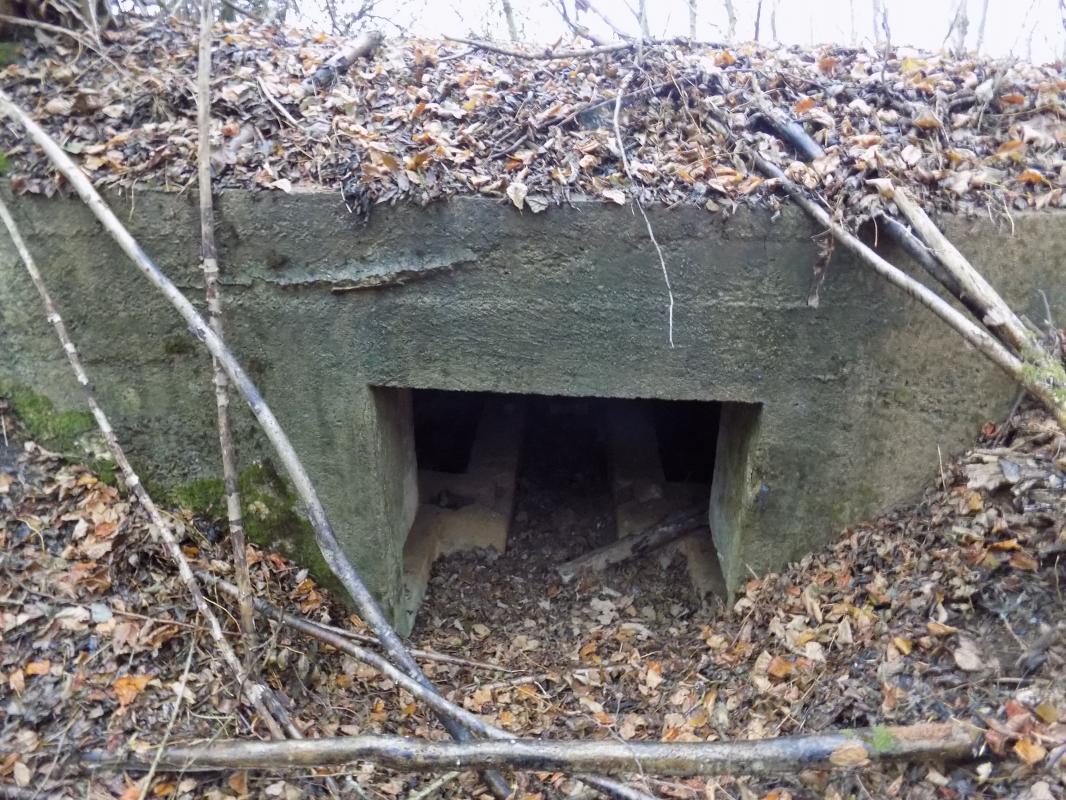 Ligne Maginot - 8BIS - LES LONGS BOYAUX EST - (Blockhaus pour canon) - L'entrée AC - R Tucker