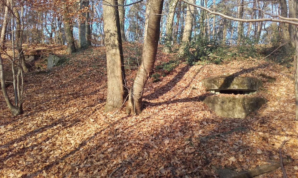Ligne Maginot - CIMETIERE DE SOUFFLENHEIM 2 - (Blockhaus pour arme infanterie) -  - Martz yannick