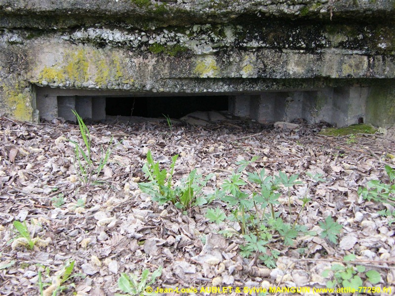 Ligne Maginot - LEMBACH NORD 1 (AVANT POSTE) - (Blockhaus pour arme infanterie) -  - Jean-Louis AUBLET & Sylvie MAINGUIN (www.attila-77