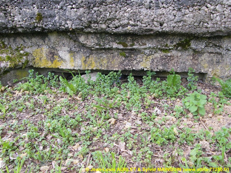Ligne Maginot - LEMBACH NORD 1 (AVANT POSTE) - (Blockhaus pour arme infanterie) -  - Jean-Louis AUBLET & Sylvie MAINGUIN (www.attila-77