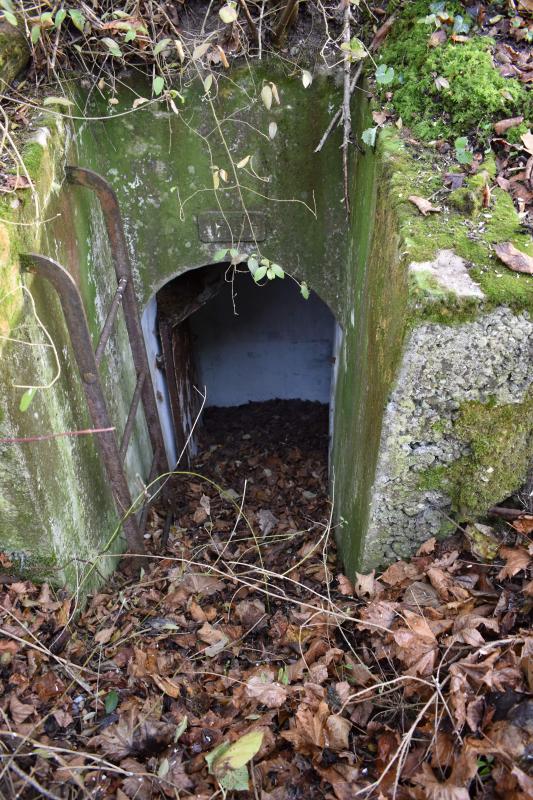 Ligne Maginot - WOLFGANTZEN NORD OUEST 1 - (Blockhaus pour arme infanterie) - Entrée de gauche - D. Froehly