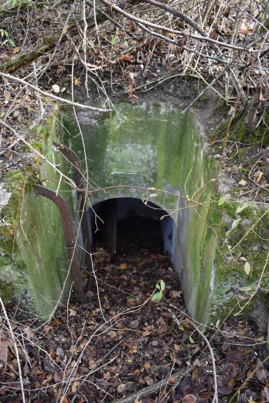 Ligne Maginot - WOLFGANTZEN NORD OUEST 1 - (Blockhaus pour arme infanterie) - Entrée de droite - D. Froehly