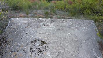 Ligne Maginot - Blockhaus de la COLETTA Sud - O41 - 