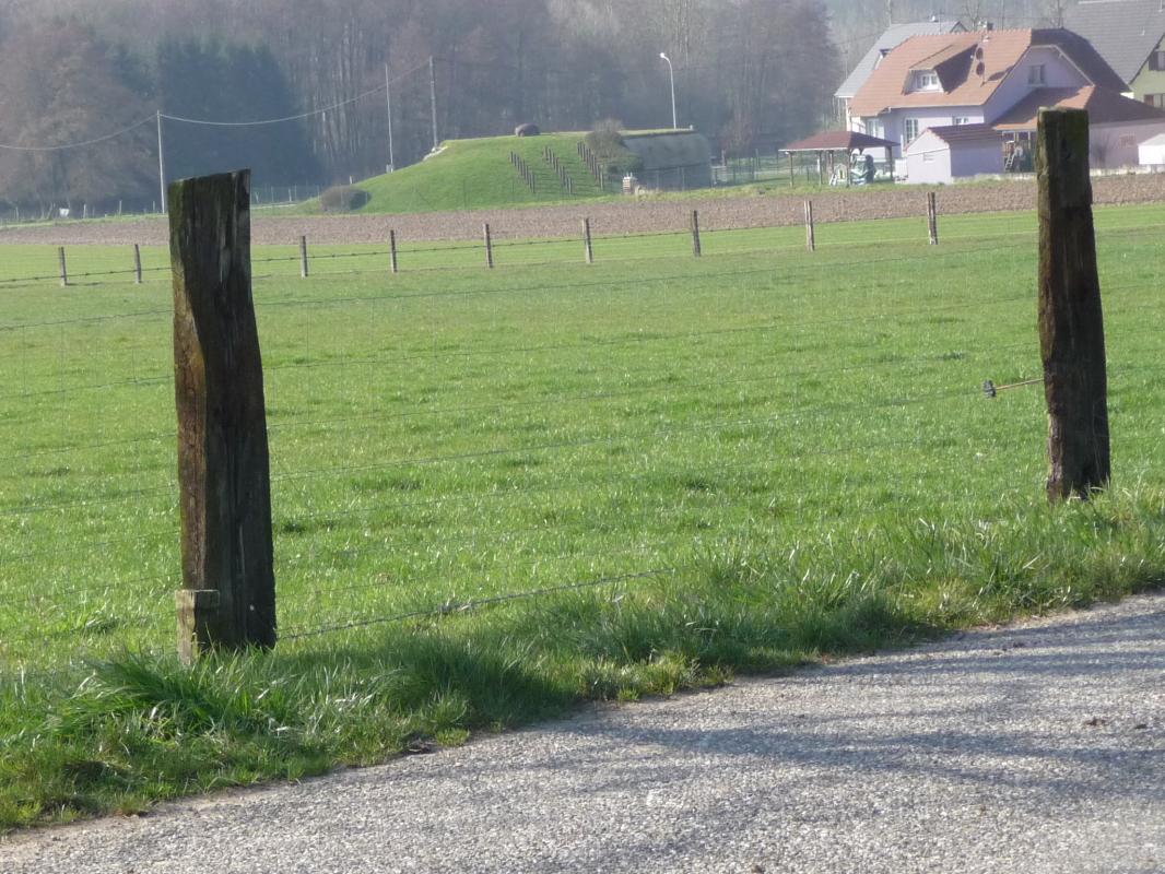 Ligne Maginot - OBERROEDERN NORD EST - (Barrage de Route) - Le barrage était sous la surveillance de la casemate Rieffel - Philippe Curtet