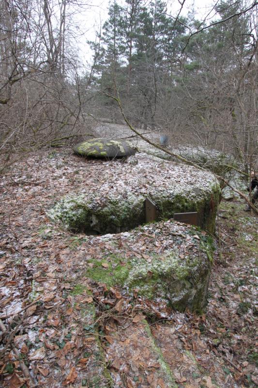 Ligne Maginot - FORT DE MUTZIG - (Ouvrage d'artillerie) - BATTERIE 3
Pièces de 10 sous bouclier - Les Gardiens du Rhin