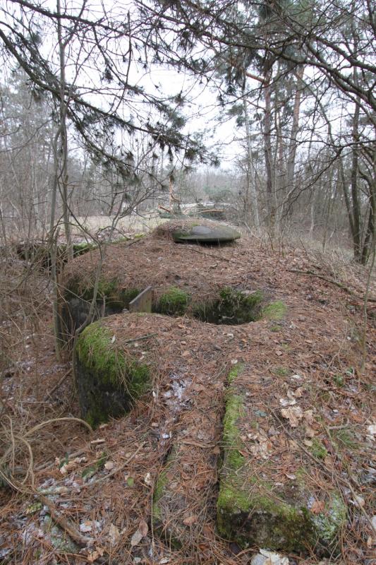 Ligne Maginot - FORT DE MUTZIG - (Ouvrage d'artillerie) - BATTERIE 4
Pièce de 10 sous bouclier - Les Gardiens du Rhin