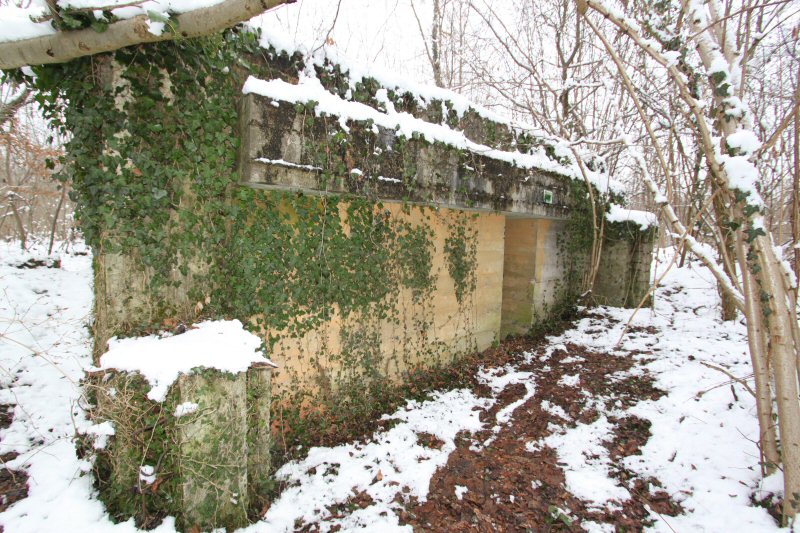 Ligne Maginot - HERRENFELD (II/34°RIF ) - (PC de Quartier) - Abri 2 - Les Gardiens du Rhin