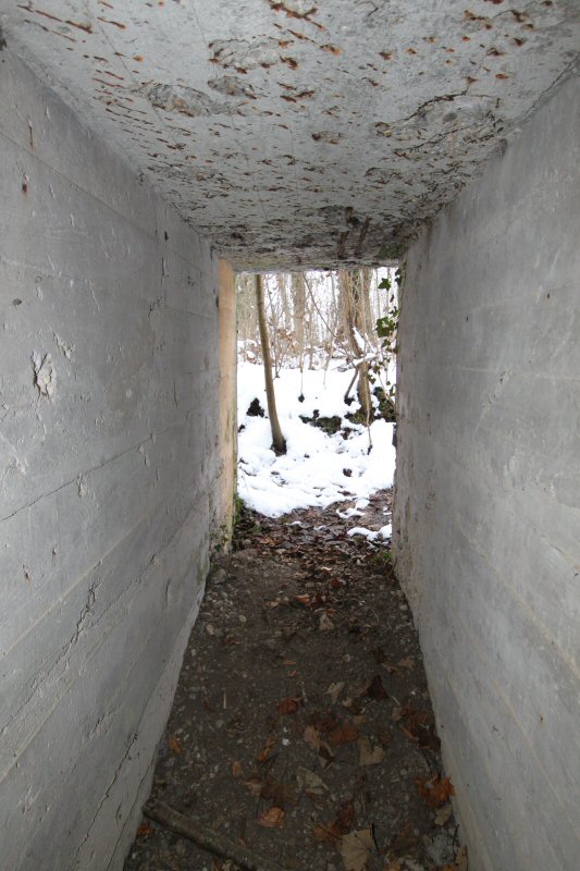Ligne Maginot - HERRENFELD (II/34°RIF ) - (PC de Quartier) - Abri 2 - Les Gardiens du Rhin