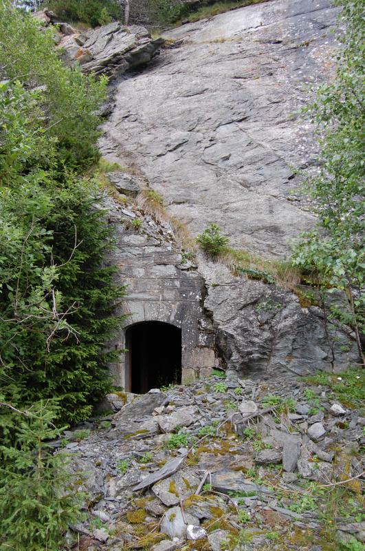 Ligne Maginot - SAPEY (REDOUTE DU) - (Position d'artillerie préparée) - L'entrée du magasin sous roc
Éboulement de roc - Michal Prasil