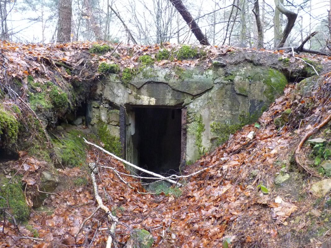 Ligne Maginot - REDUIT du HOCHWALD ( Blockhaus pour arme infanterie ) -  - KLINGEL Sven