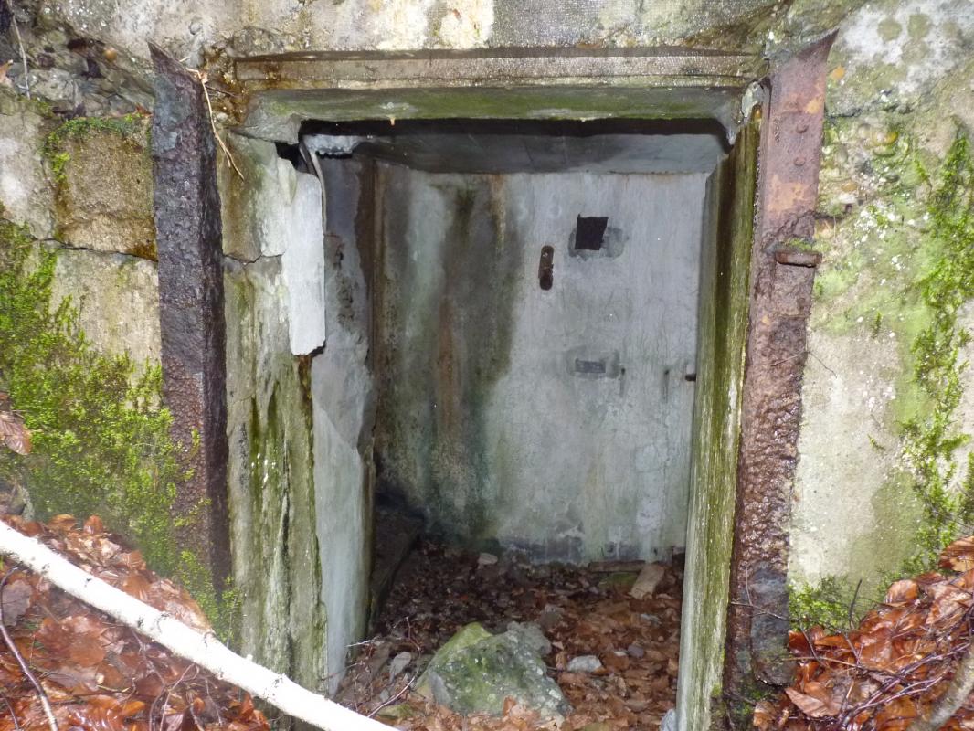 Ligne Maginot - REDUIT du HOCHWALD ( Blockhaus pour arme infanterie ) -  - KLINGEL Sven