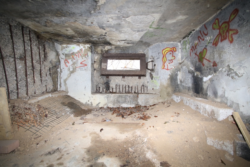 Ligne Maginot - OBERSEEBACH EST - (Blockhaus pour canon) -  - GRUBER Franck