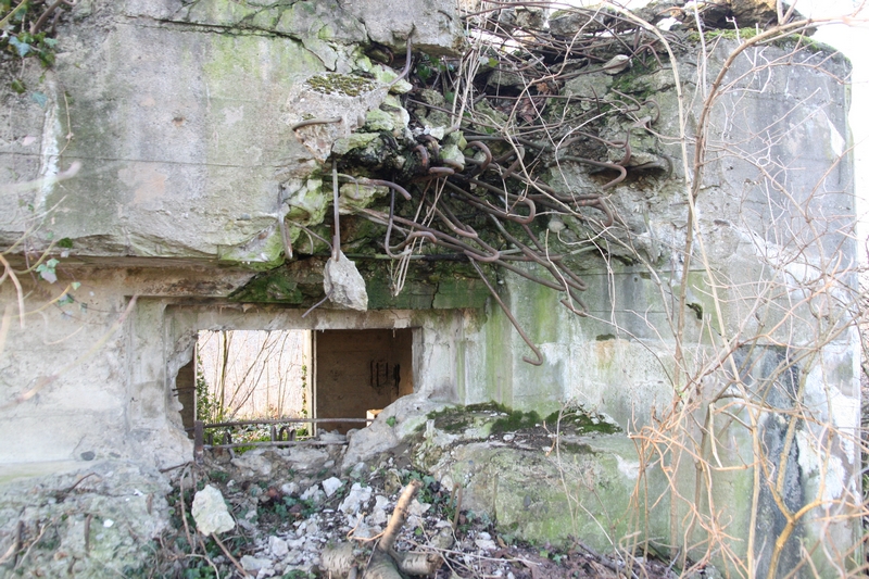 Ligne Maginot - AUENHEIM 1 (Blockhaus pour canon) -  - GRUBER Franck